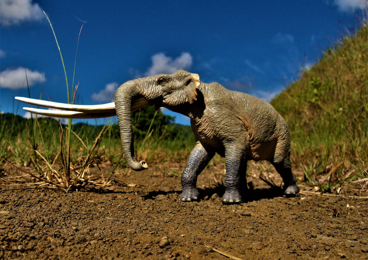 Stegodon